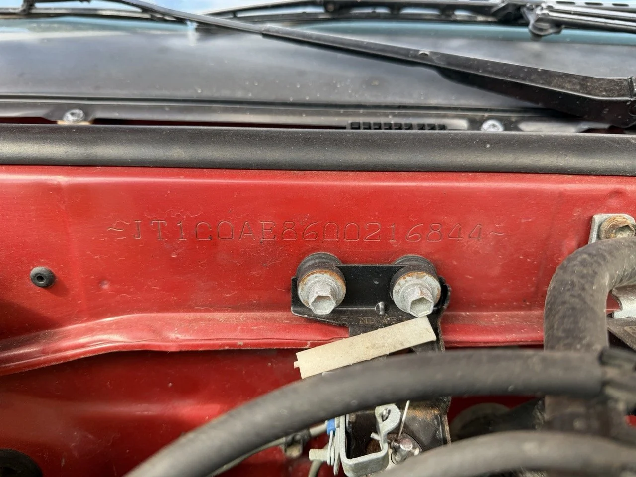 IMG_2354 – grande.jpeg