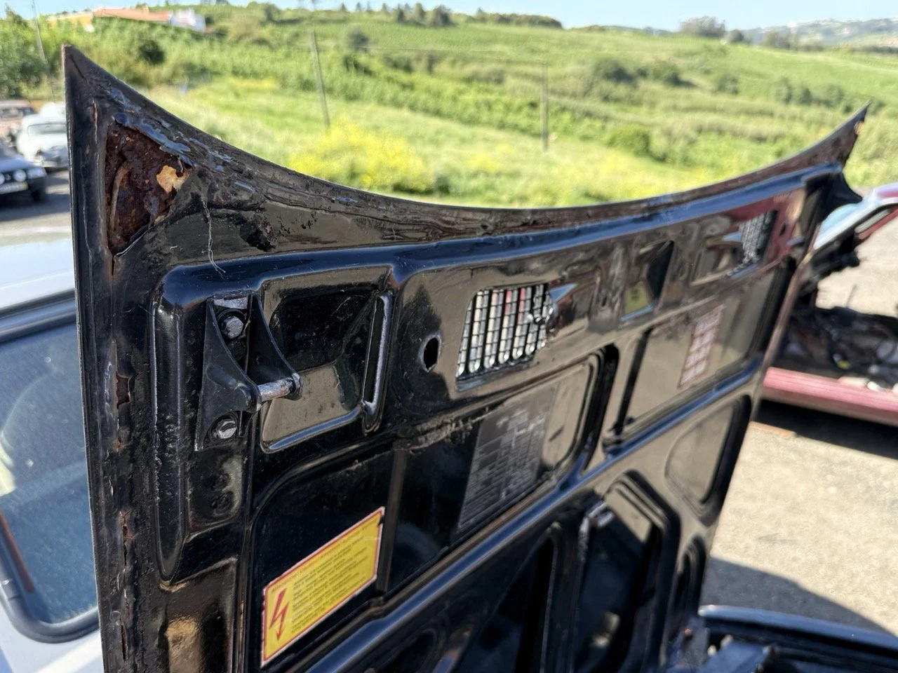 IMG_2931 – grande.jpeg