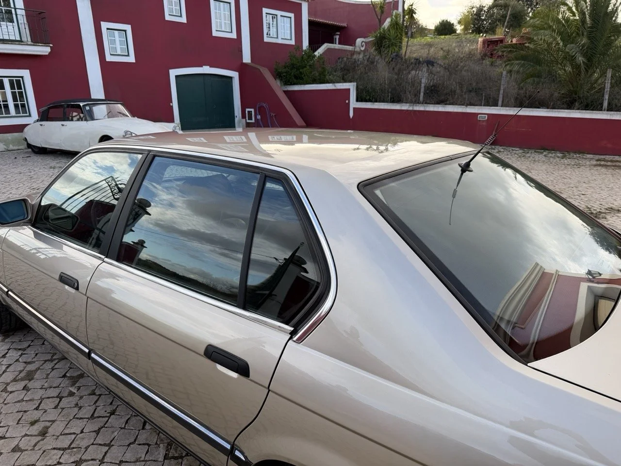 IMG_6998 2 – grande.jpeg