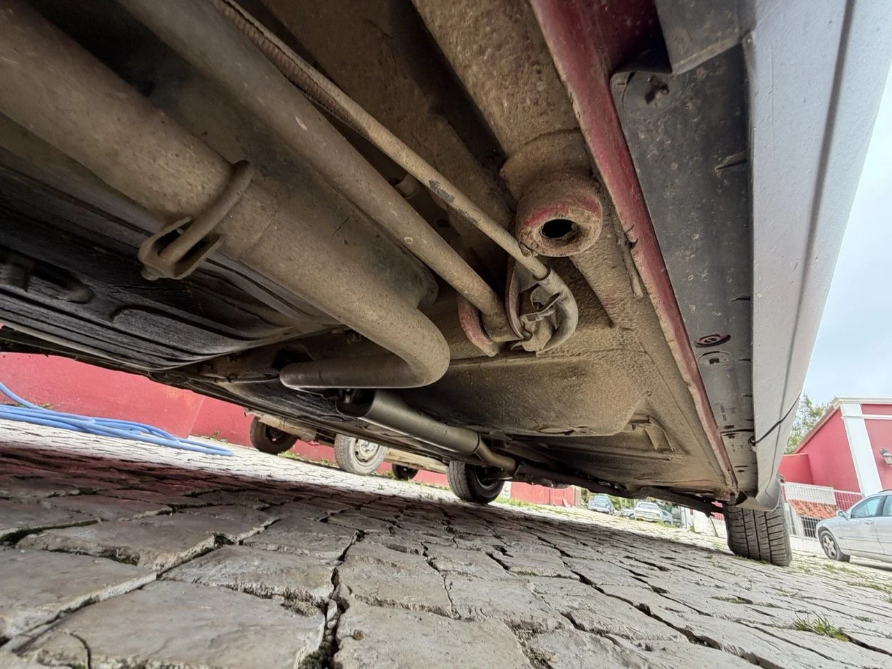 IMG_3536 – grande.jpeg