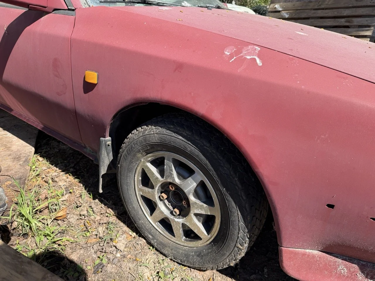 IMG_7628 – grande.jpeg