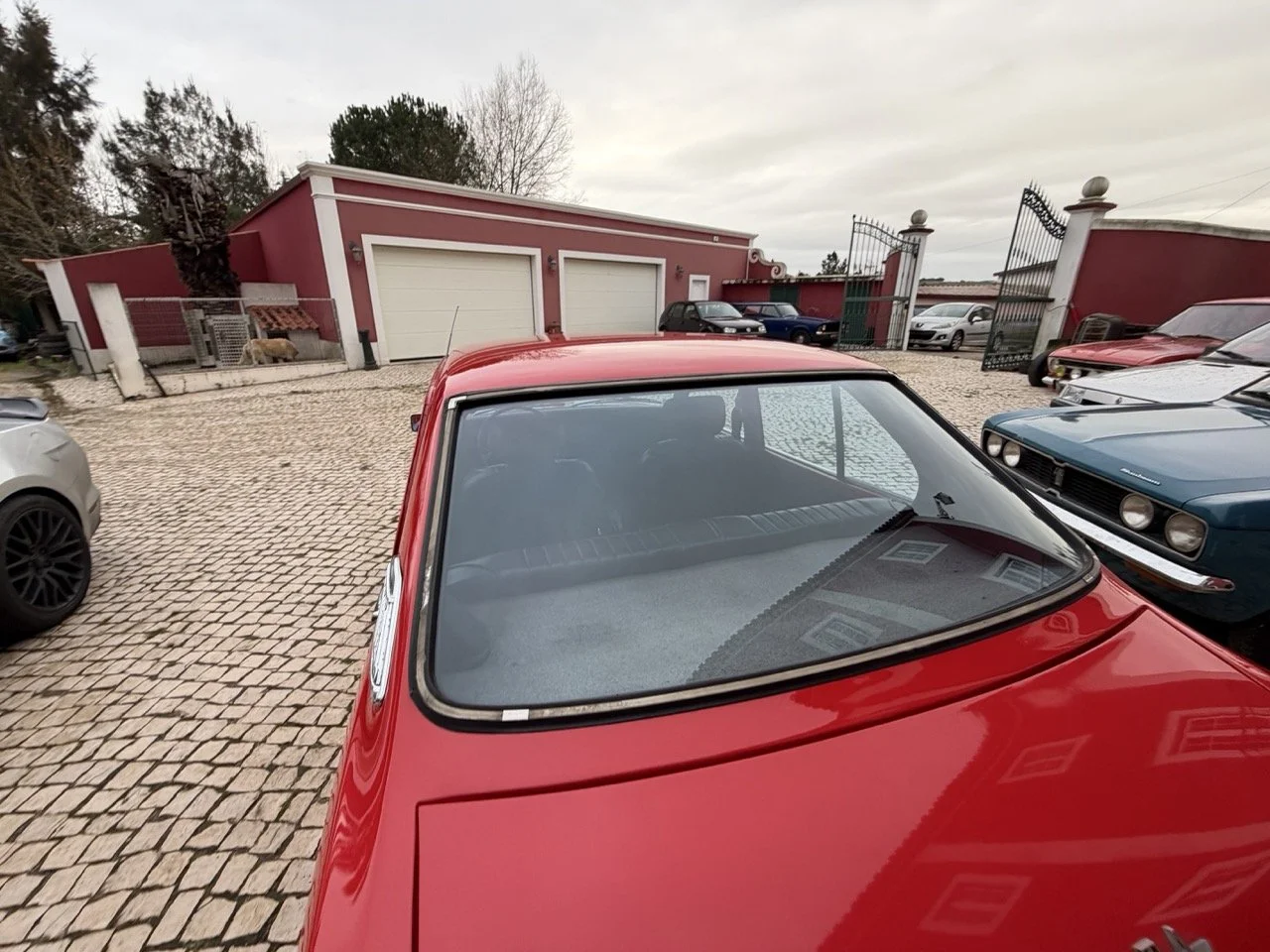 IMG_8308 – grande.jpeg