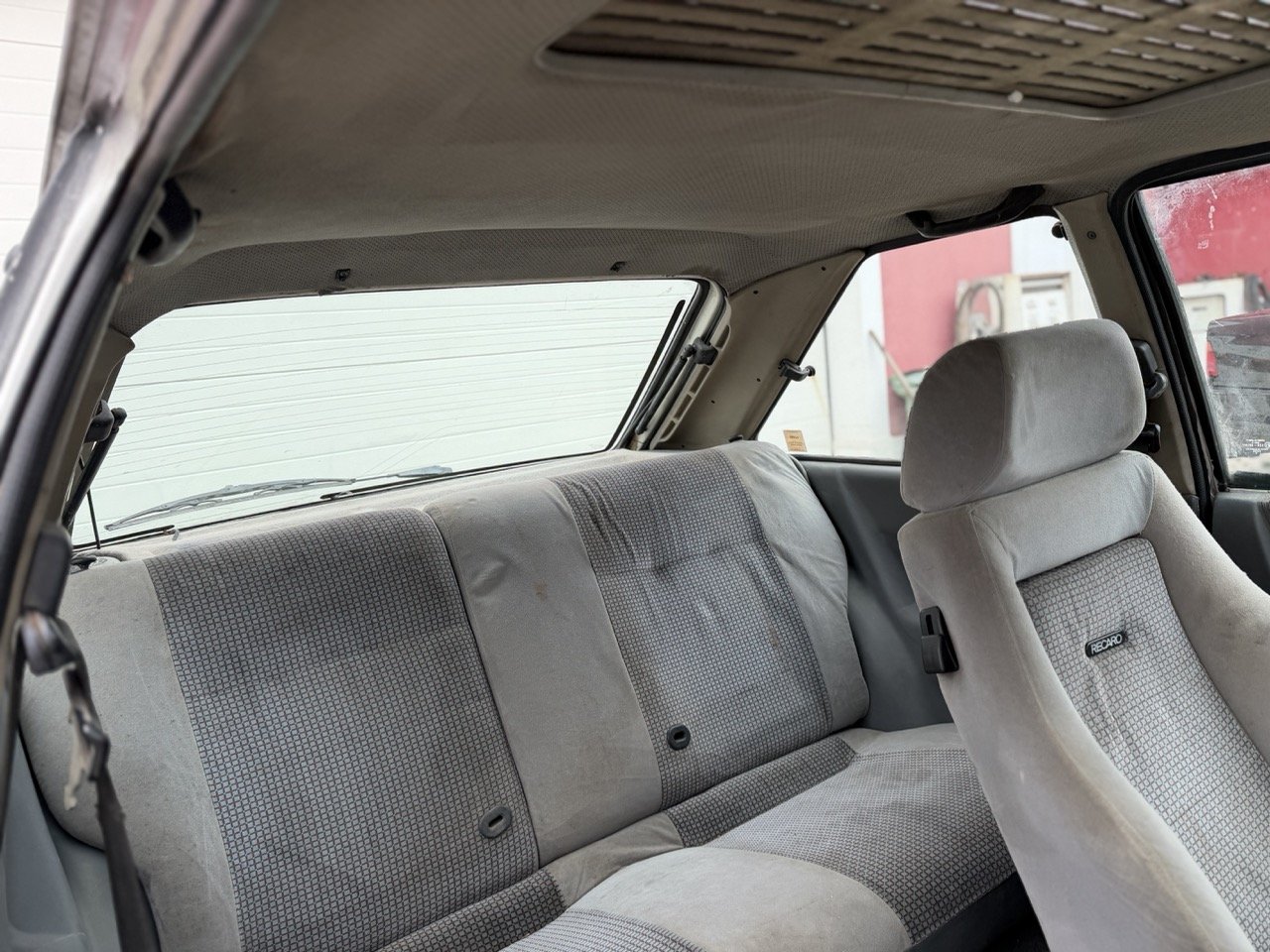 IMG_1282 – grande.jpeg