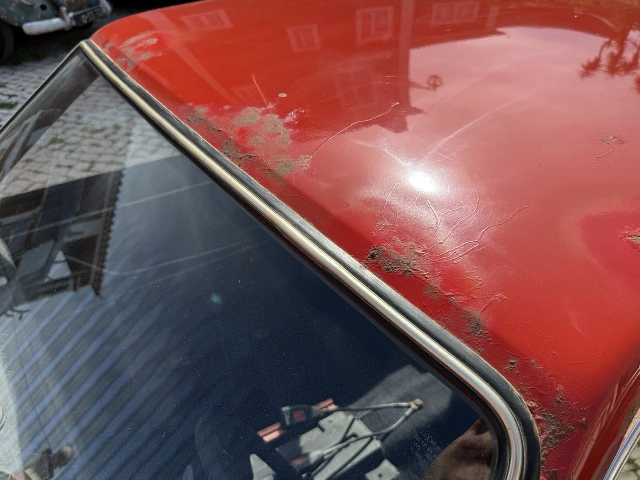 IMG_2354 – grande.jpeg