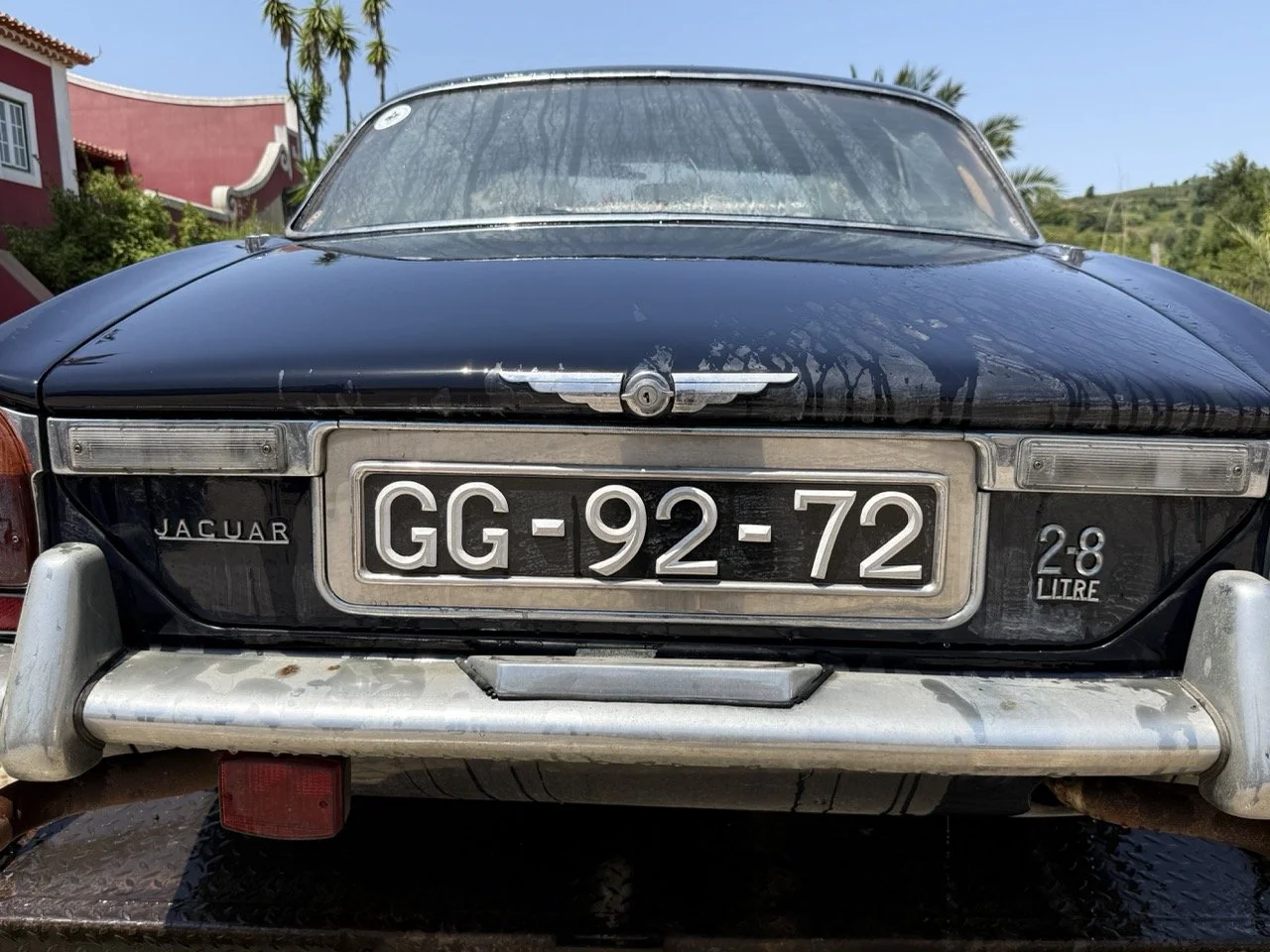IMG_0760 – grande.jpeg
