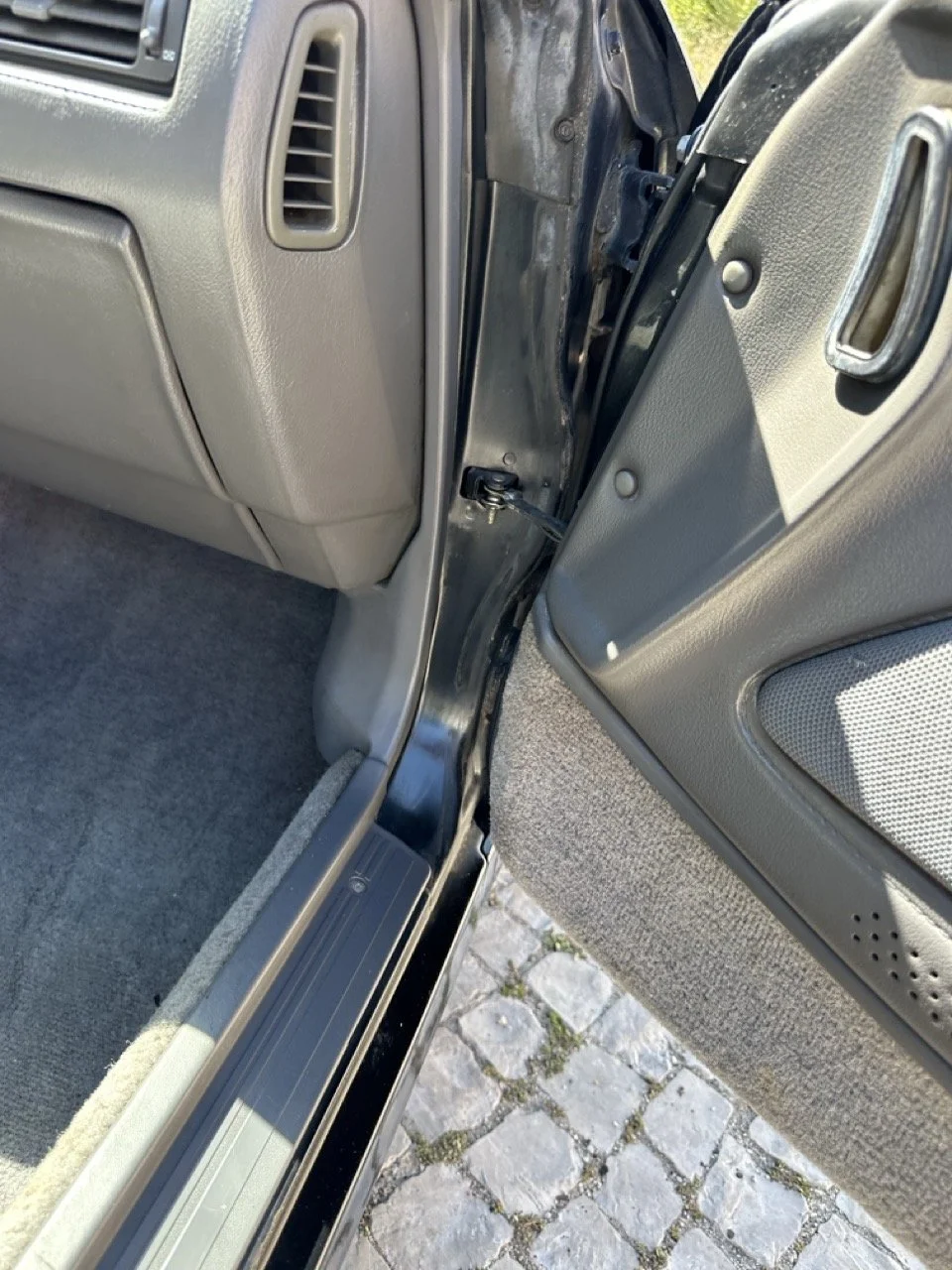 IMG_3105 – grande.jpeg