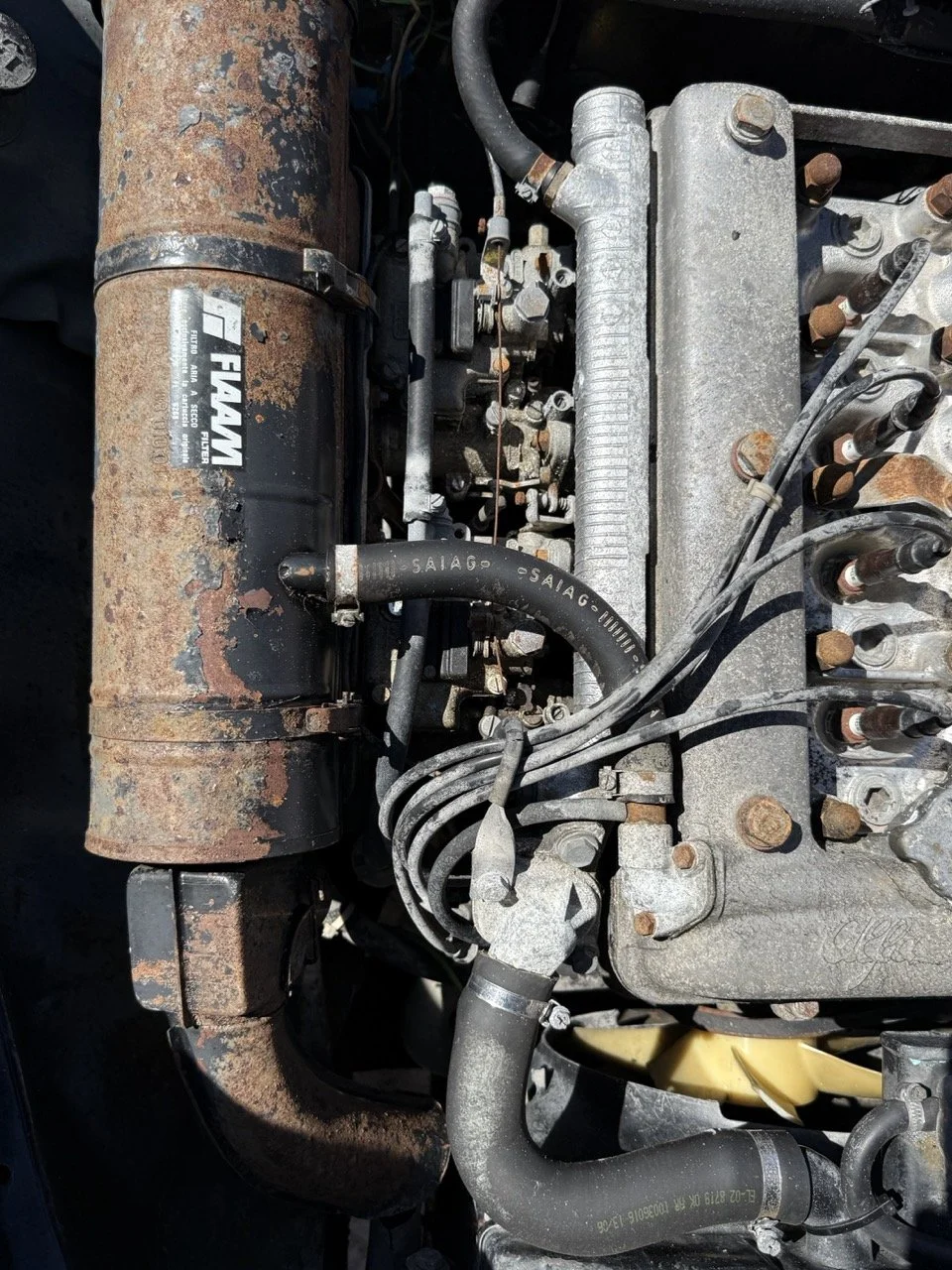 IMG_2221 – grande.jpeg