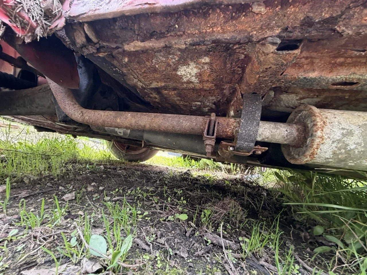 IMG_3881 – grande.jpeg