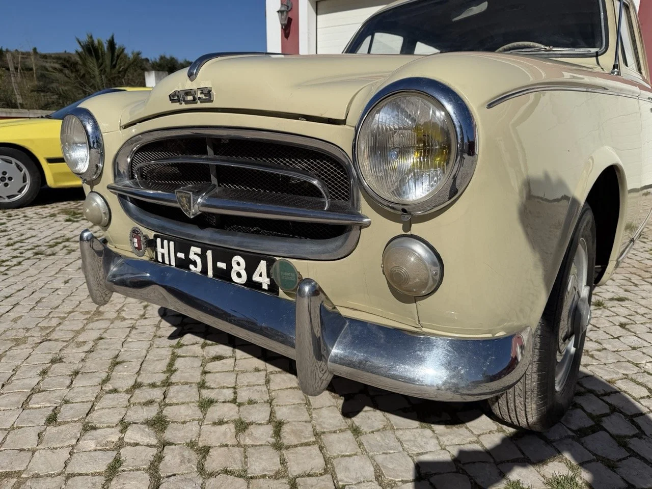 IMG_6715 – grande.jpeg