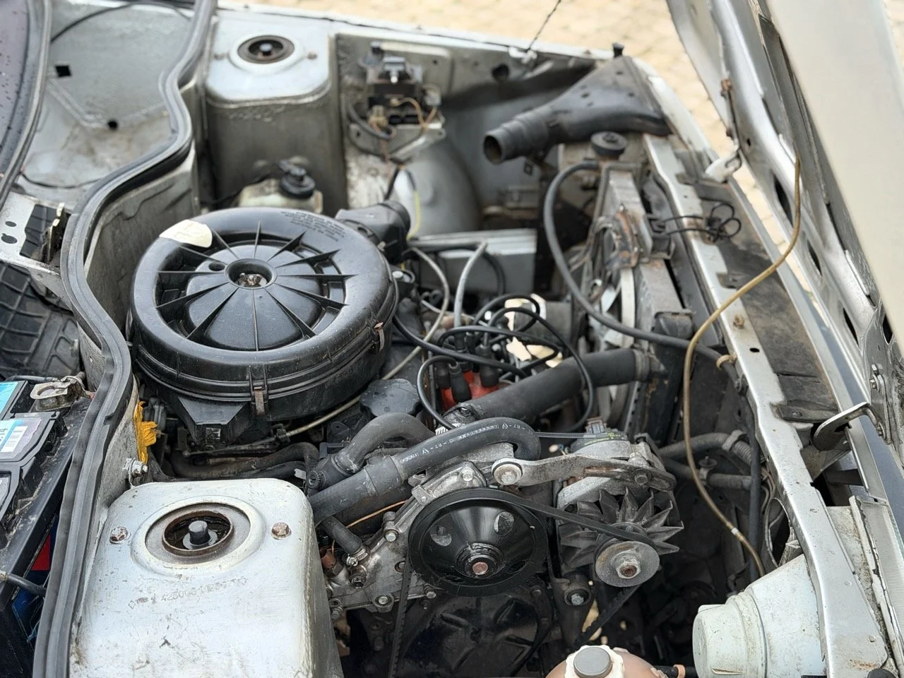 IMG_4735 3 – grande.jpeg