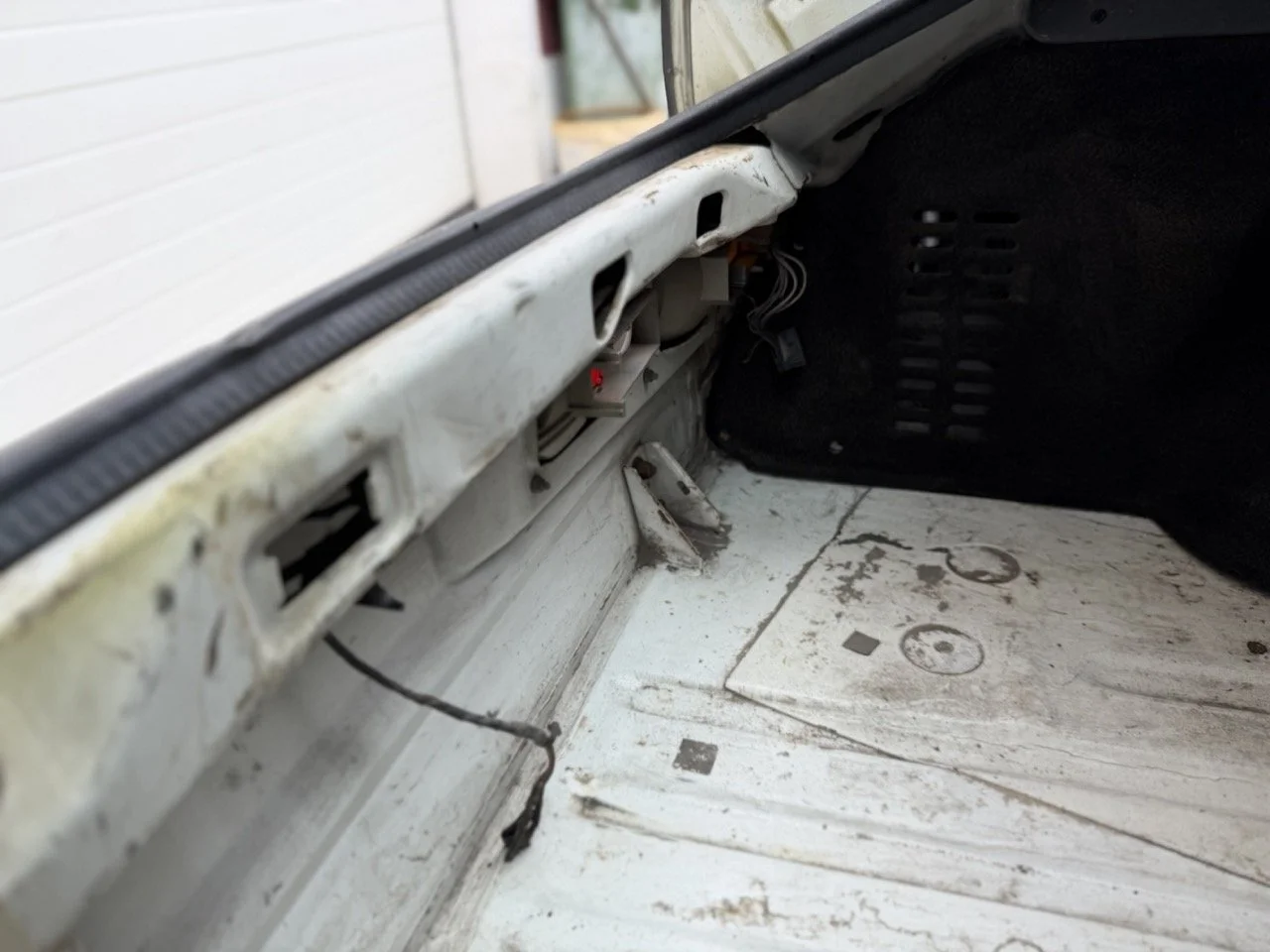 IMG_1291 – grande.jpeg