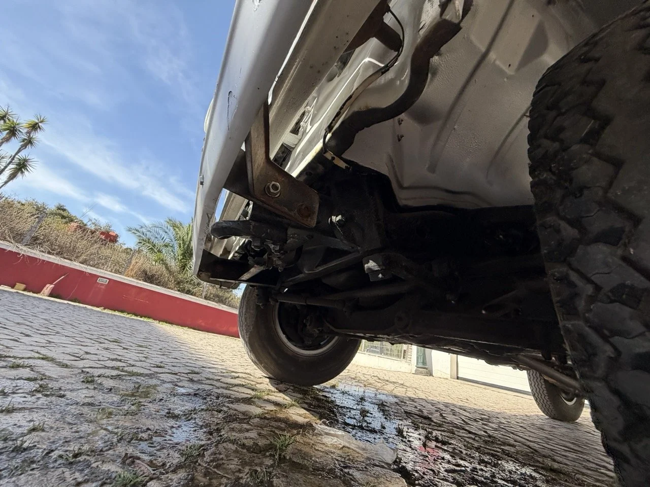 IMG_8600 – grande.jpeg