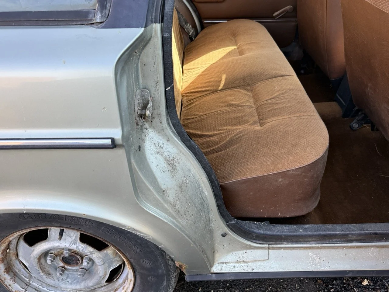 IMG_1210 – grande.jpeg