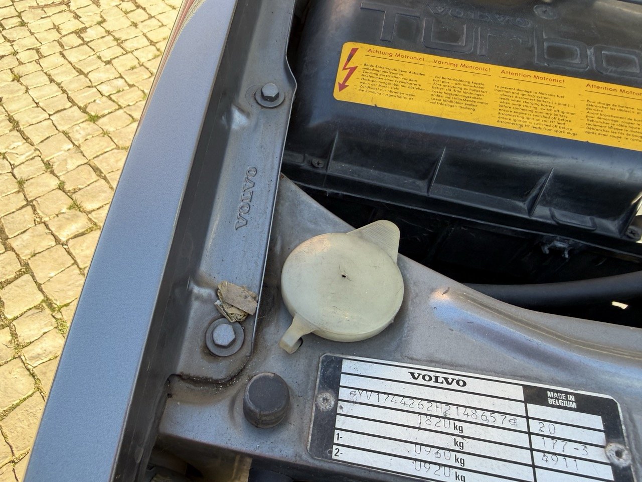 IMG_1981 – grande.jpeg