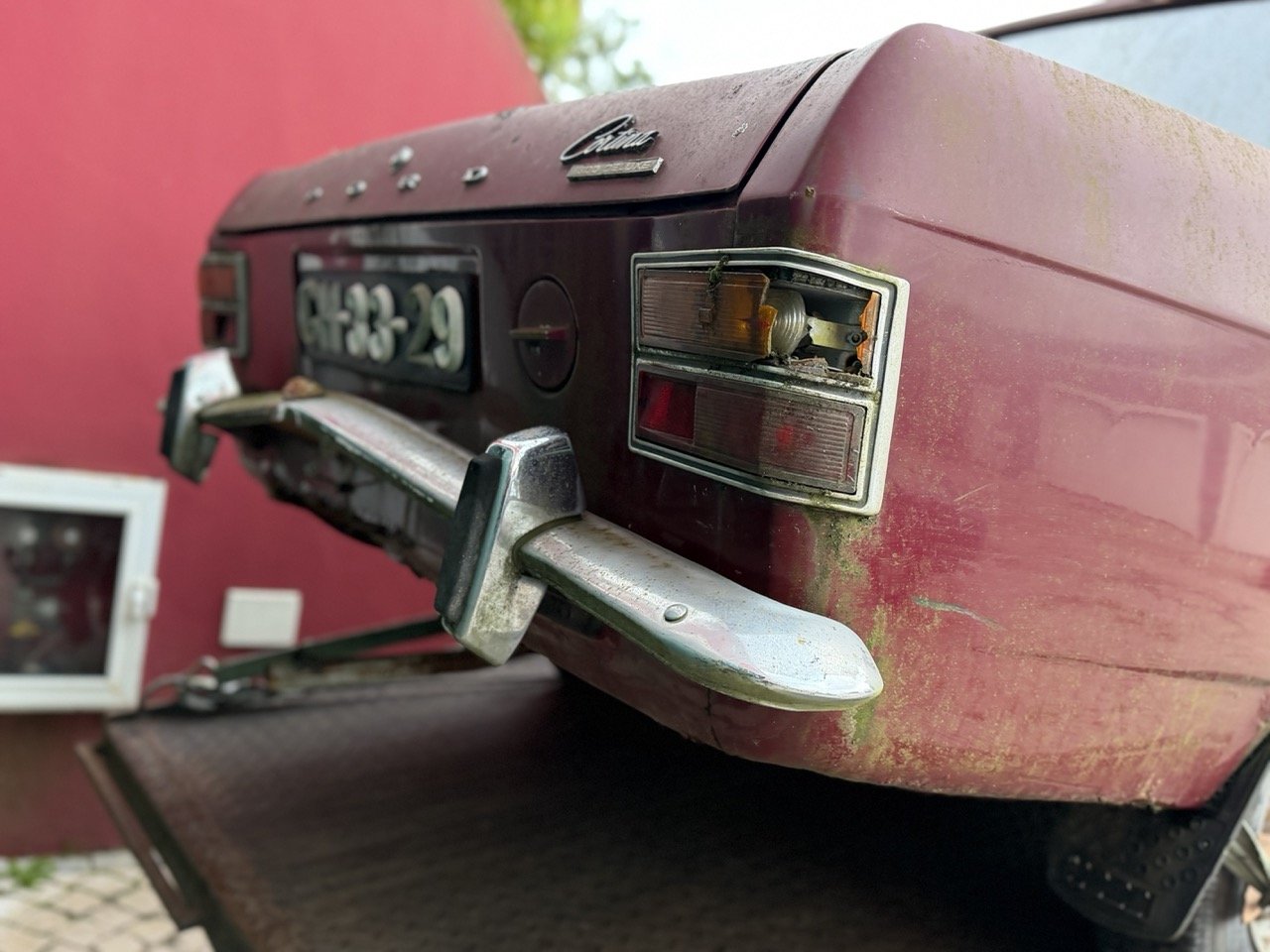 IMG_8989 – grande.jpeg