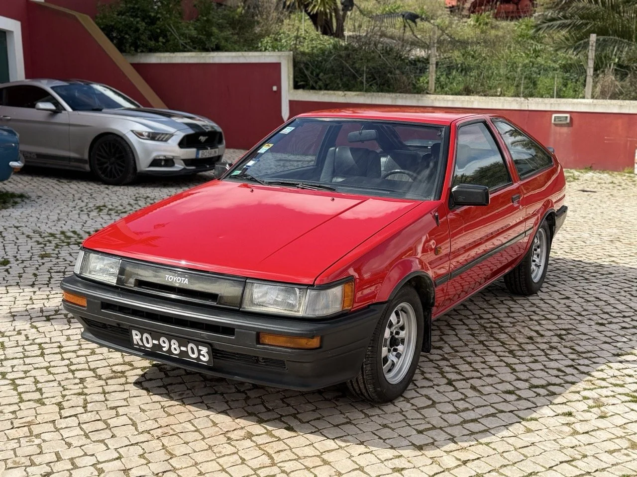 IMG_2267 – grande.jpeg