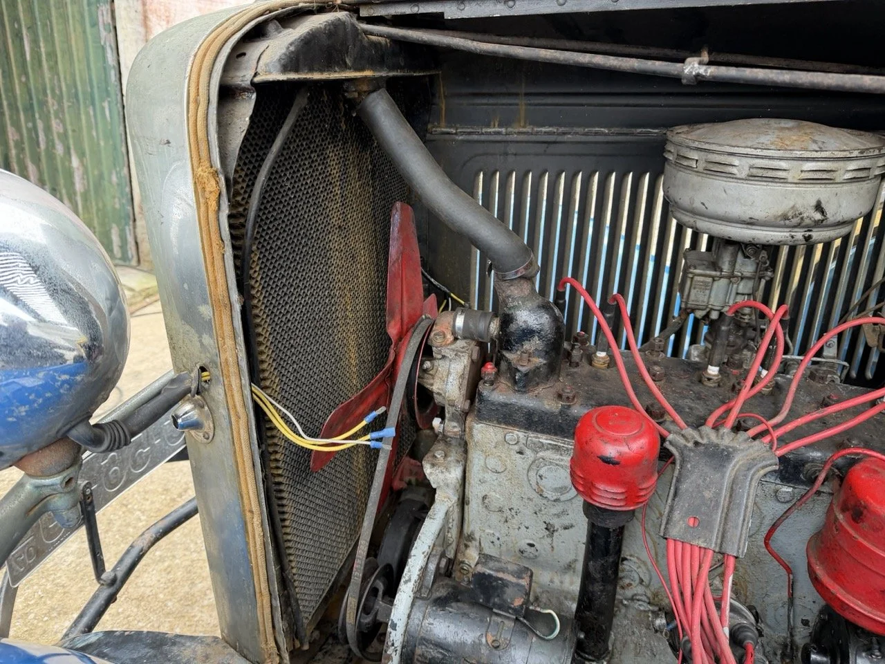 IMG_1551 – grande.jpeg