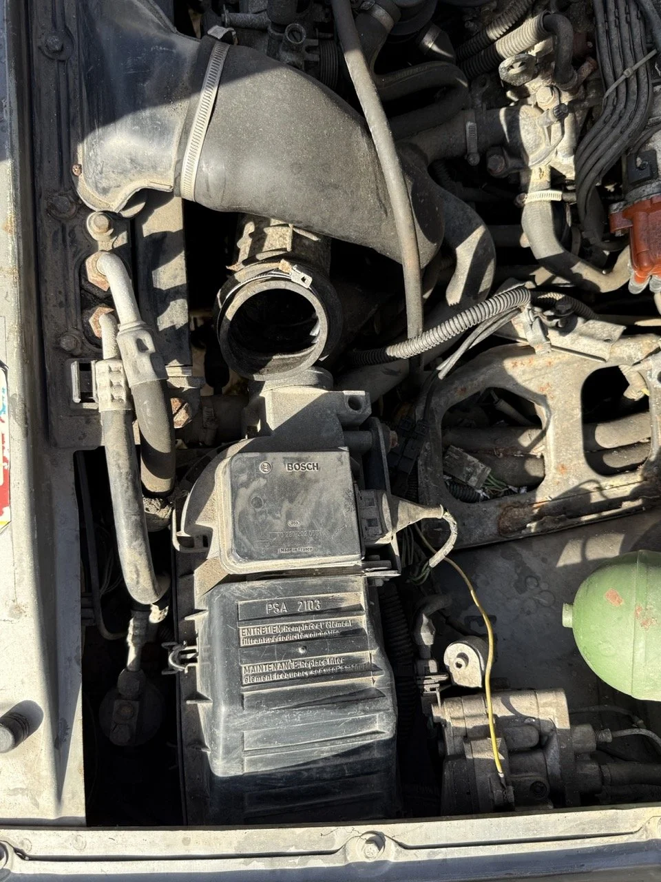 IMG_2554 – grande.jpeg