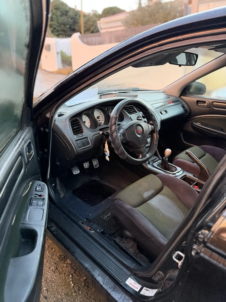 IMG_3737 – grande.jpeg