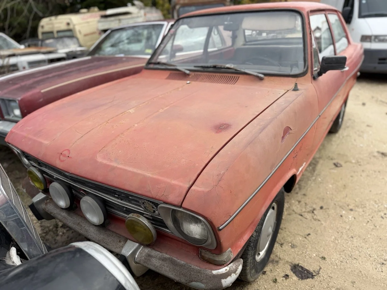 IMG_4960 – grande.jpeg