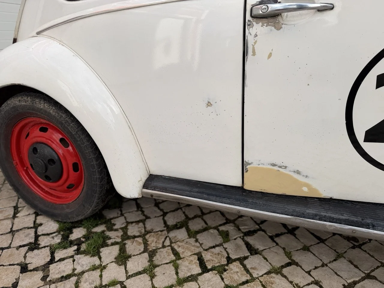 IMG_8668 – grande.jpeg