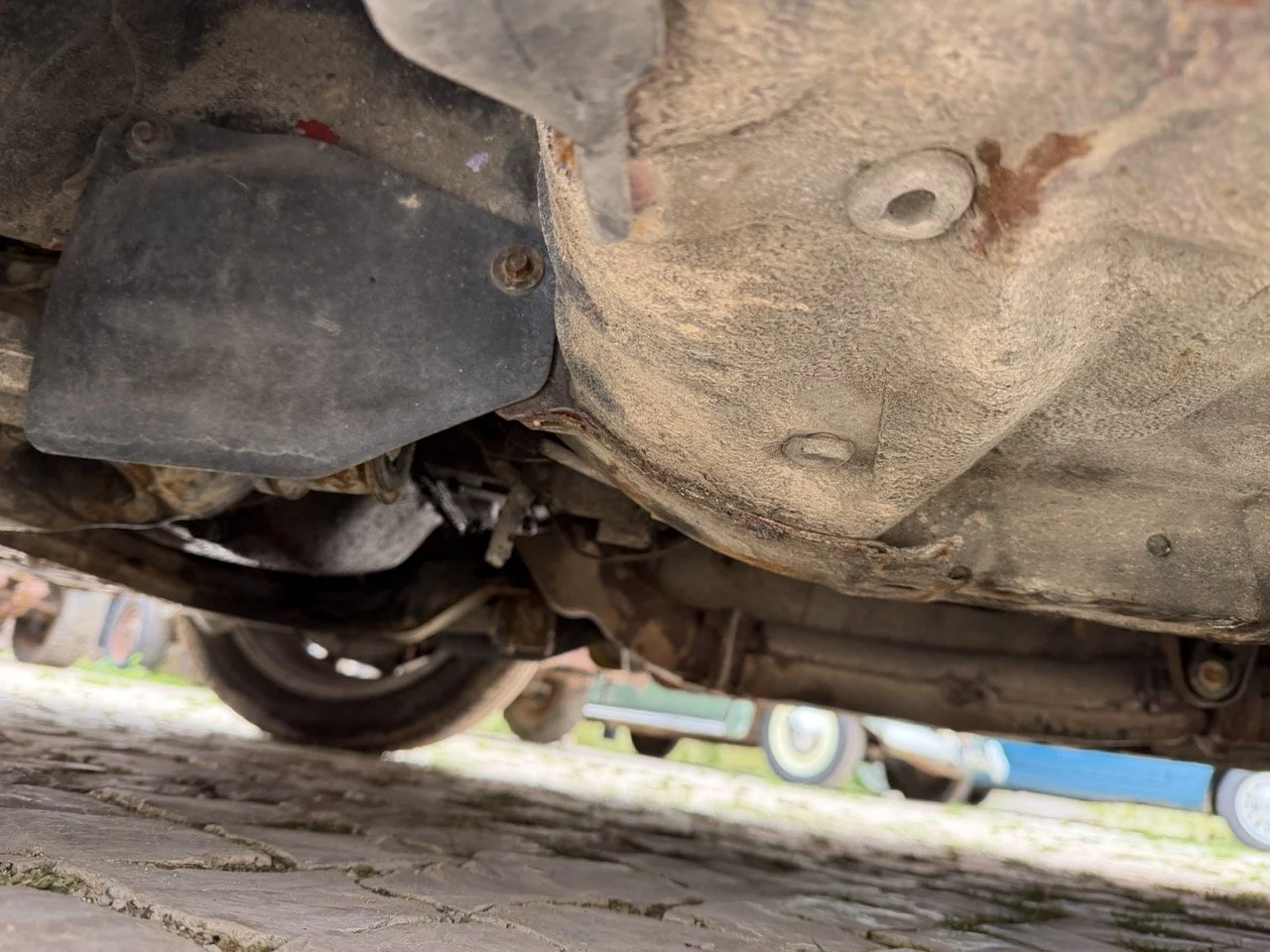 IMG_9802 – grande.jpeg