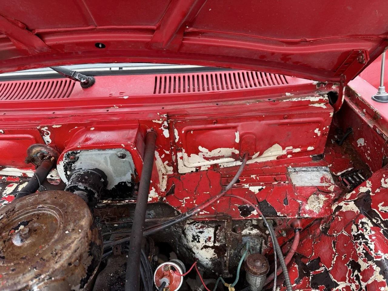 IMG_9679 – grande.jpeg