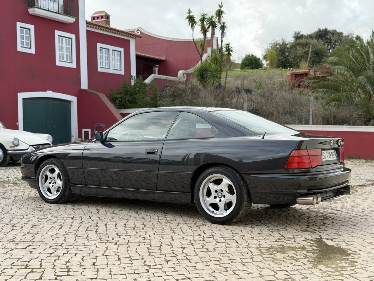 IMG_6761 – grande.jpeg