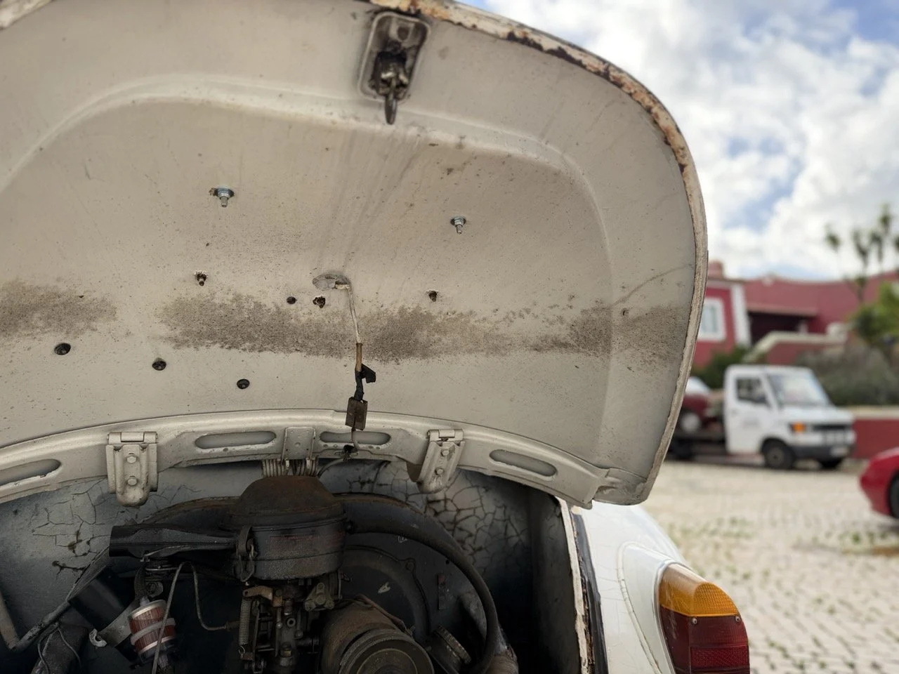 IMG_8645 – grande.jpeg