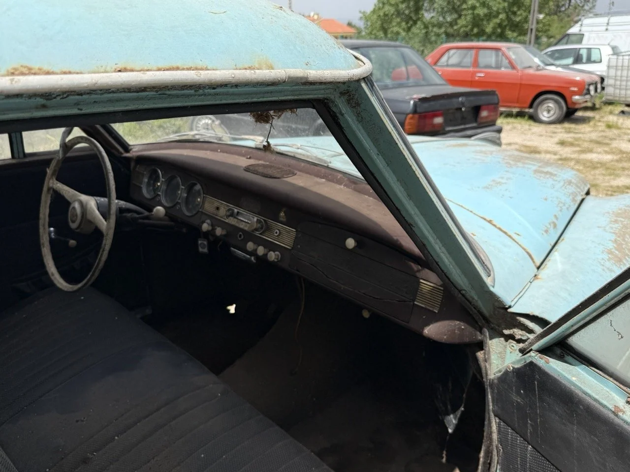 IMG_1406 – grande.jpeg