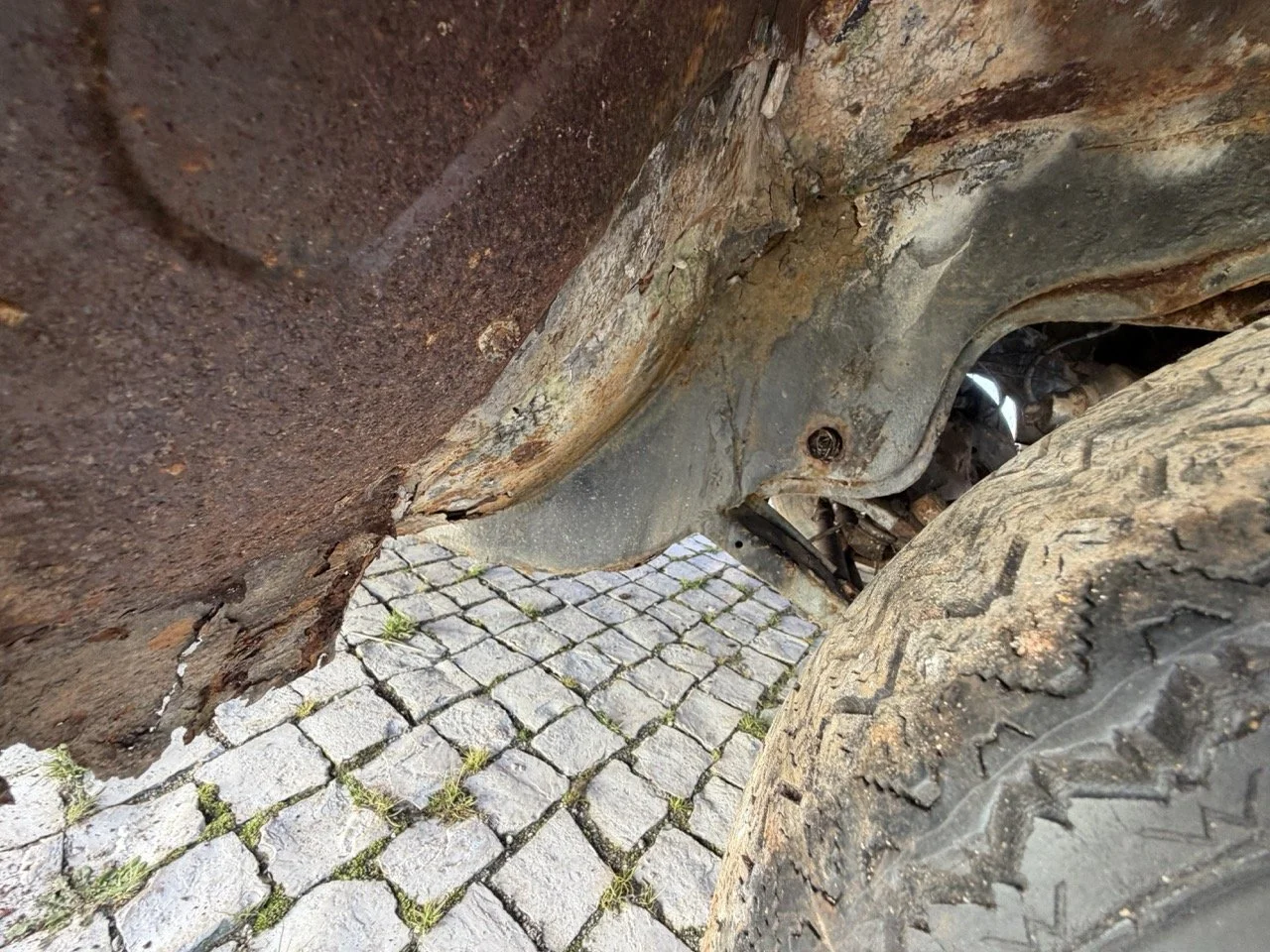 IMG_7067 – grande.jpeg