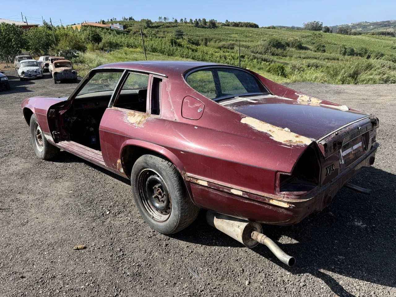 IMG_2968 – grande.jpeg