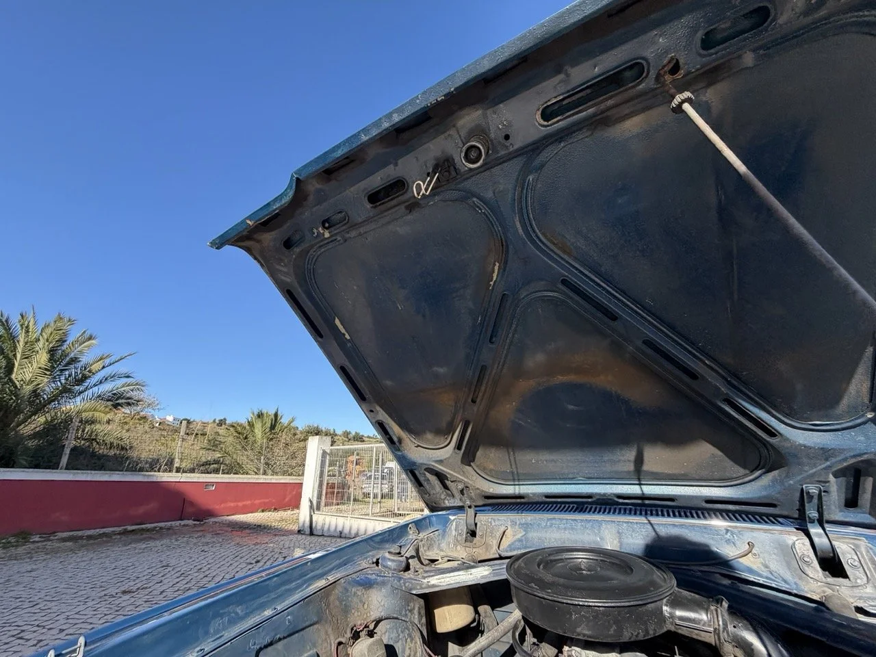 IMG_1855 – grande.jpeg