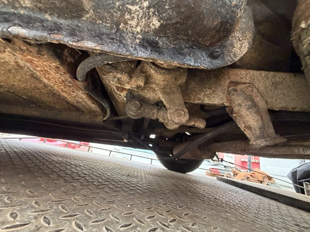 IMG_1908 – grande.jpeg