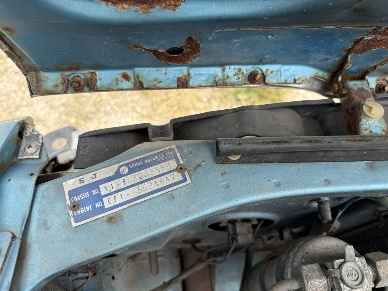 IMG_1518 – grande.jpeg