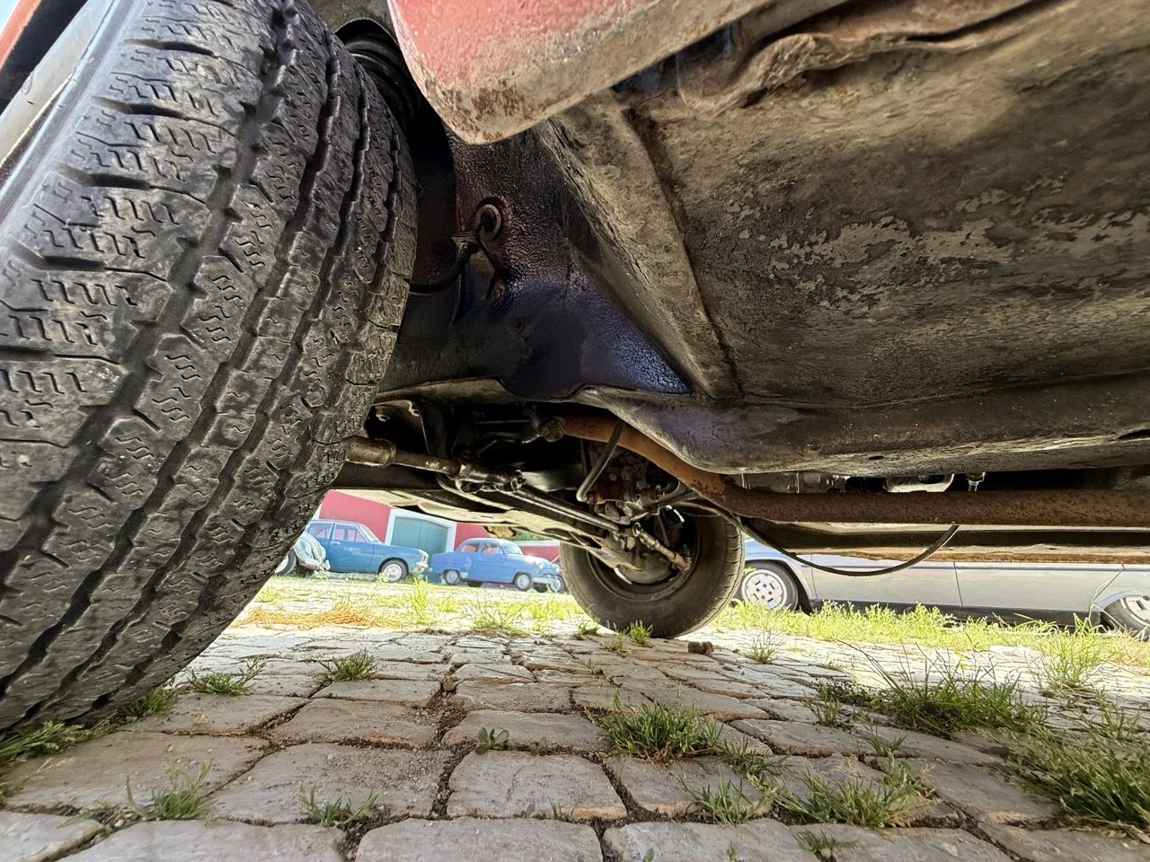 IMG_3659 – grande.jpeg