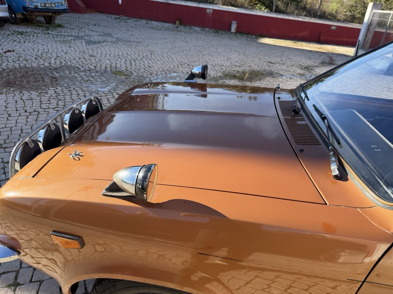 IMG_2420 – grande.jpeg