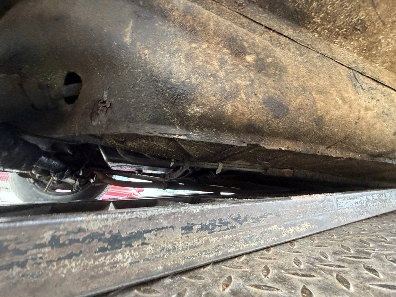 IMG_1905 – grande.jpeg