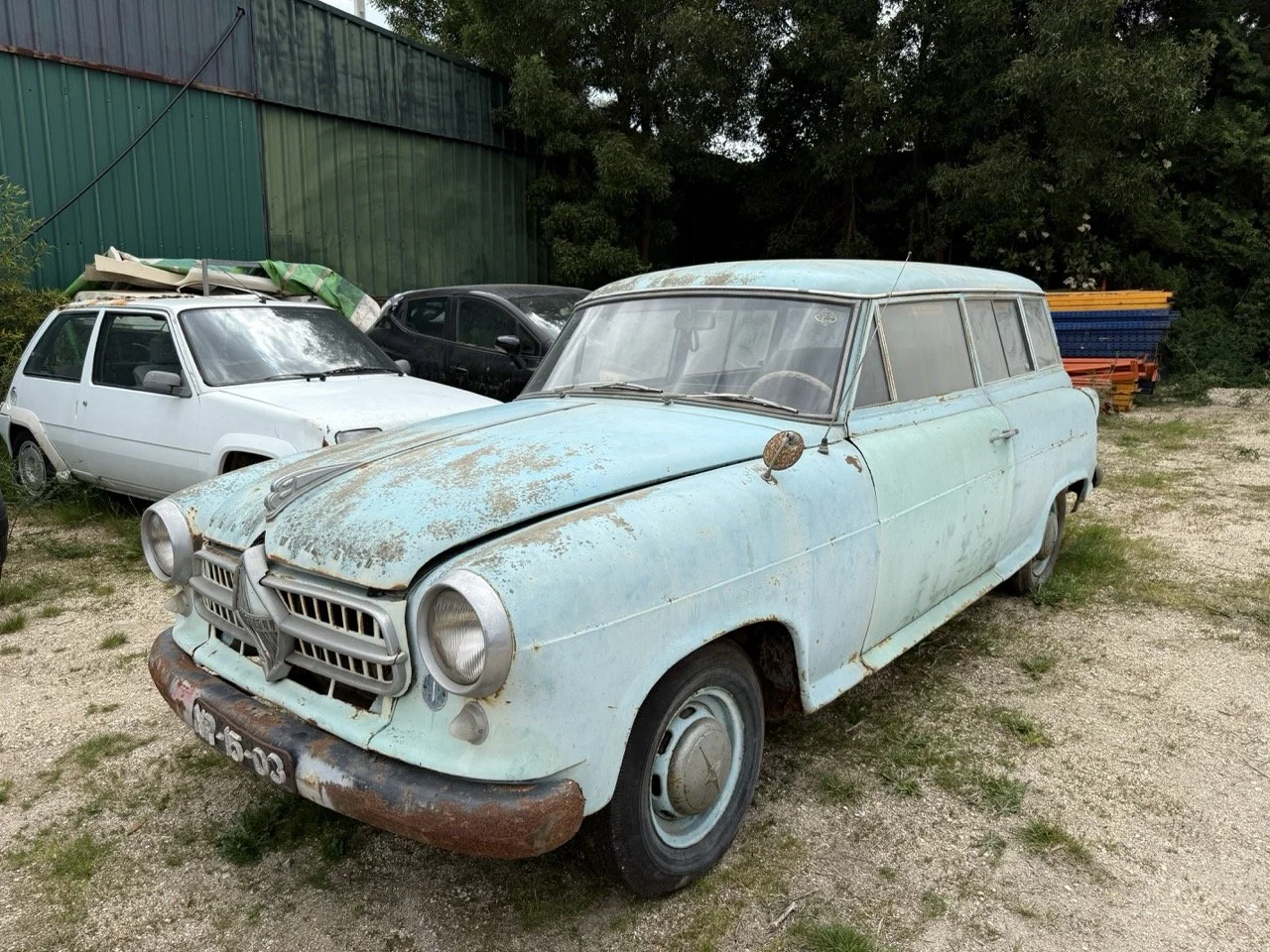 IMG_1348 – grande.jpeg