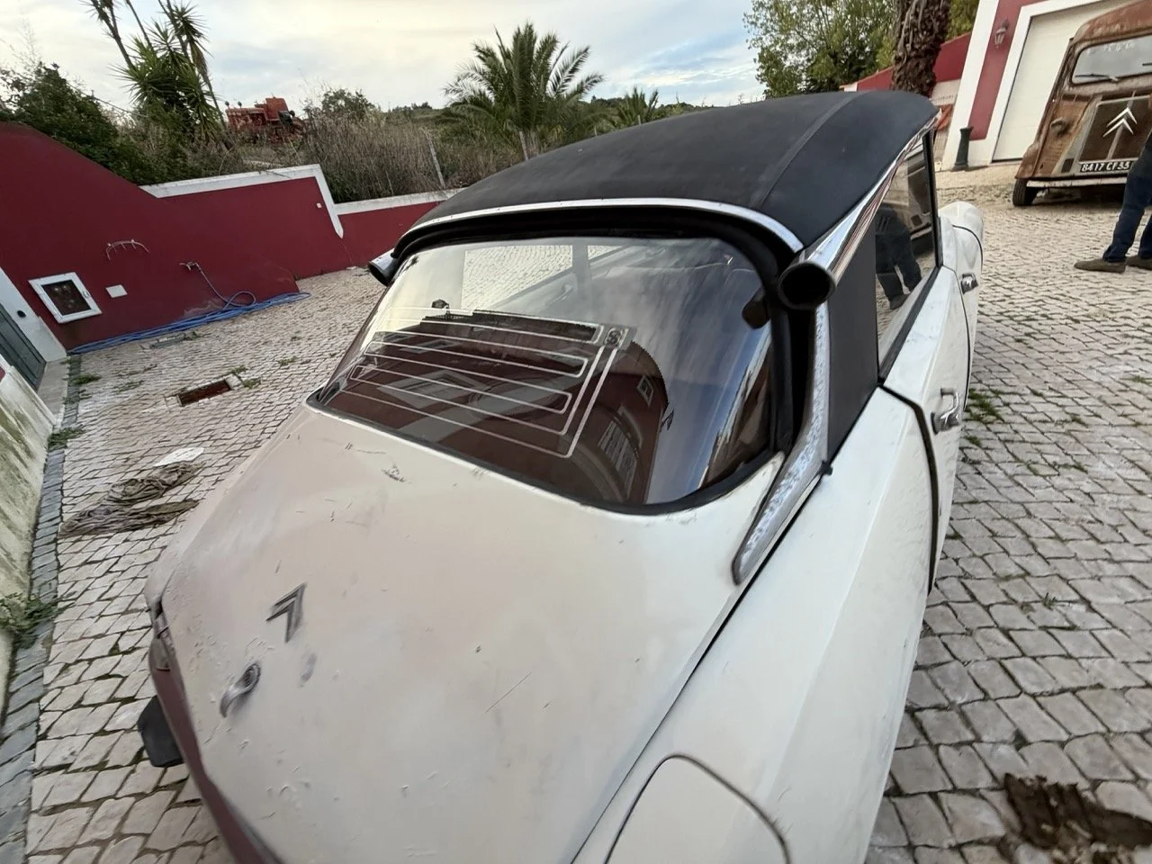 IMG_5994 2 – grande.jpeg