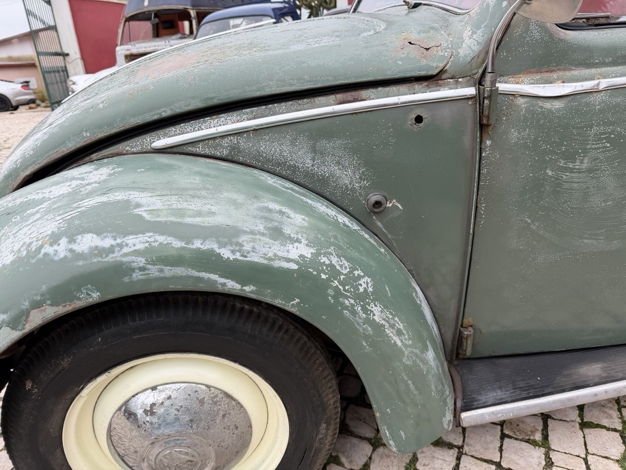 IMG_1203 – grande.jpeg