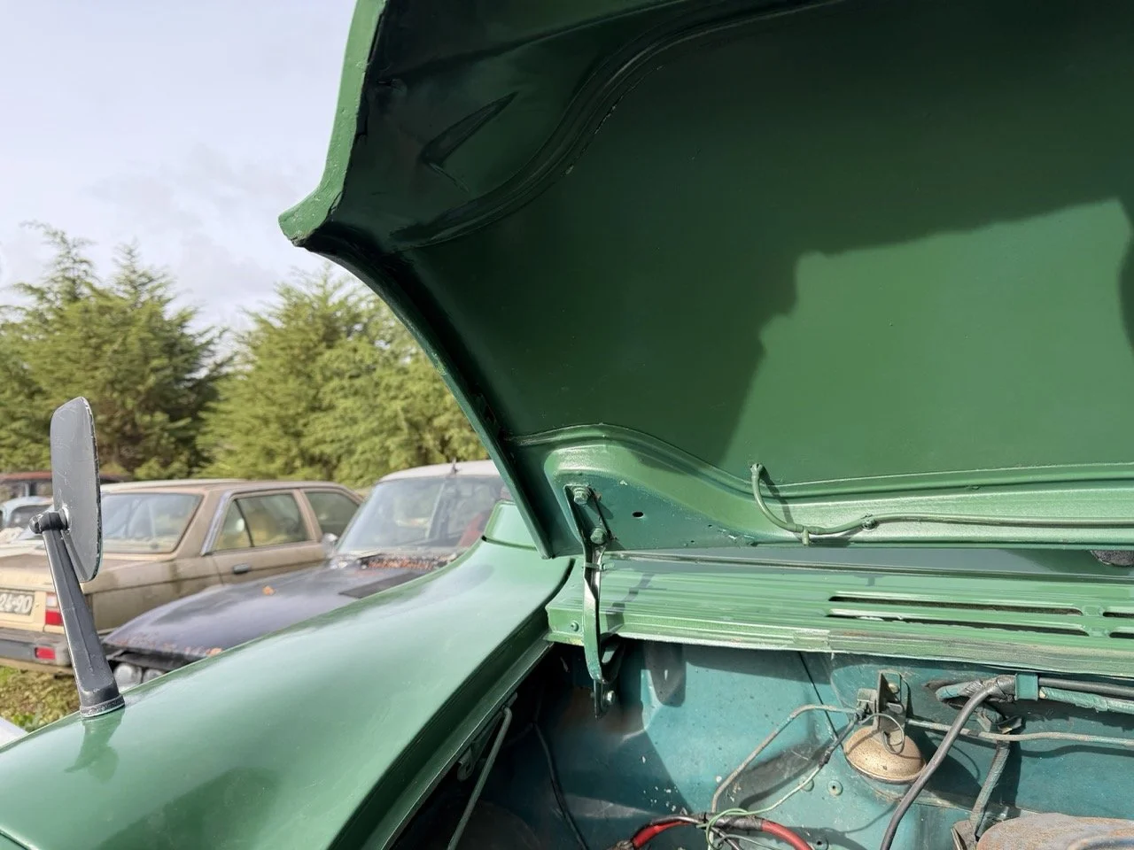 IMG_3893 – grande.jpeg