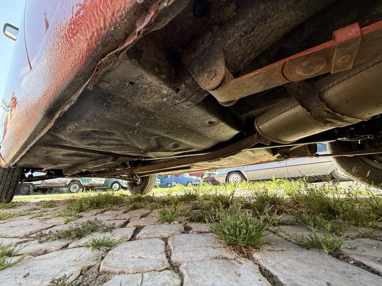 IMG_3664 – grande.jpeg