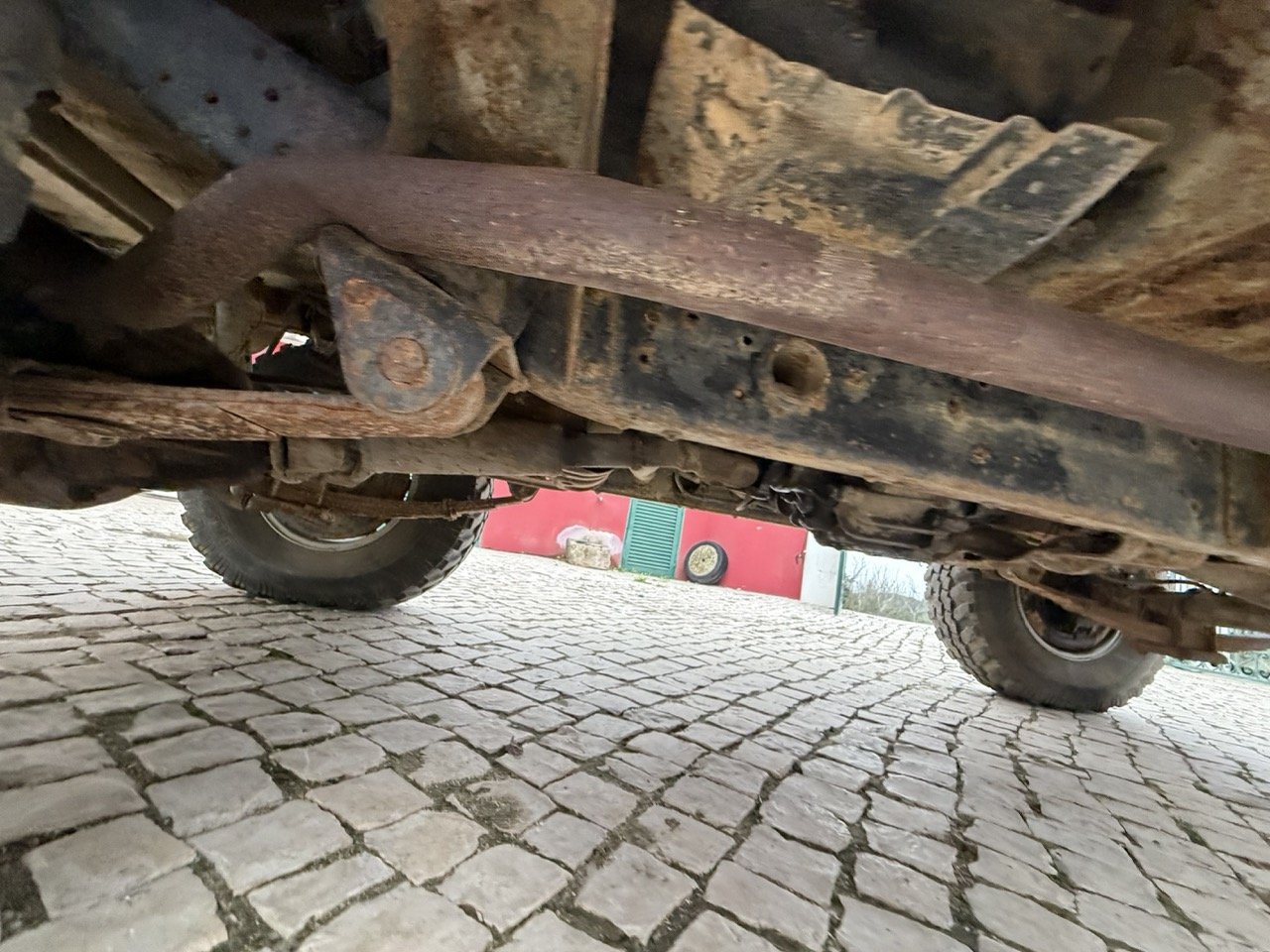 IMG_6525 – grande.jpeg