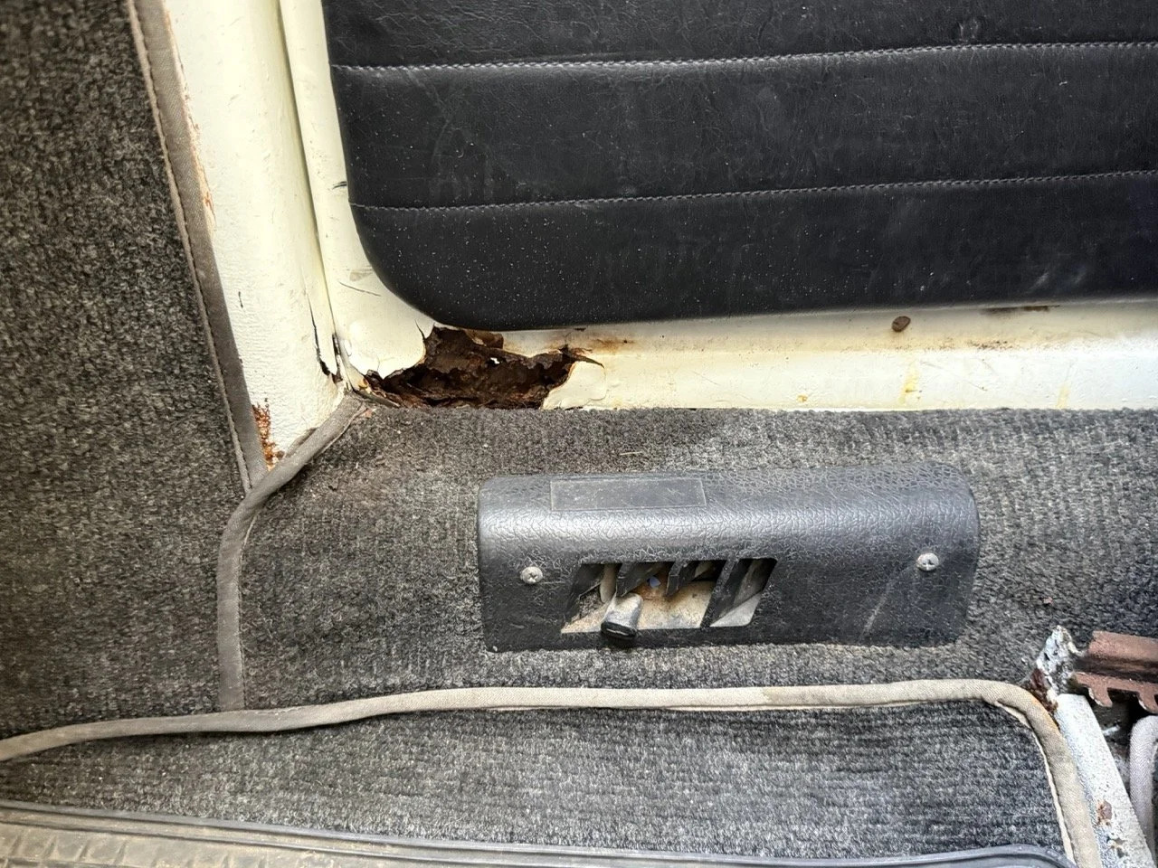 IMG_0692 – grande.jpeg