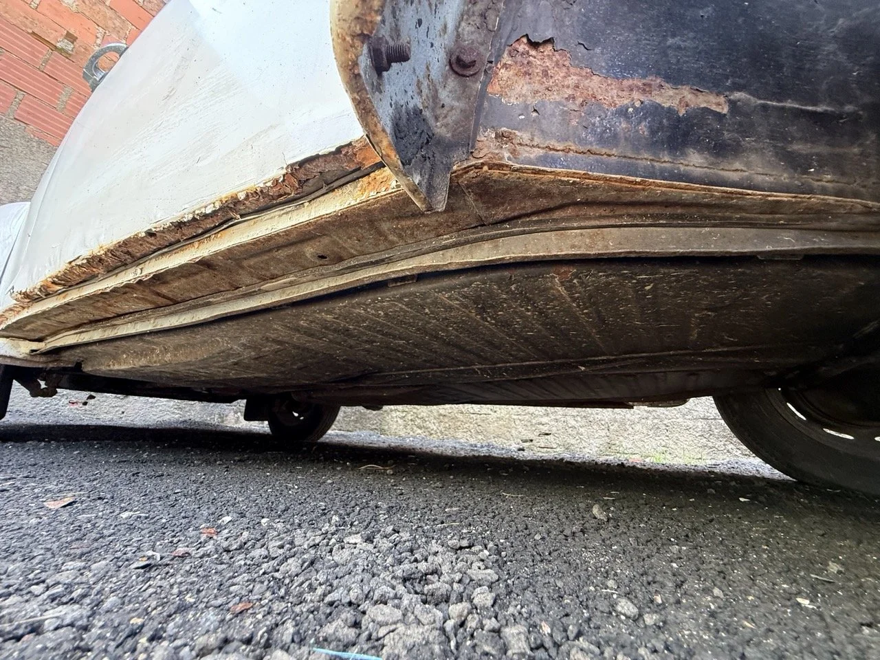 IMG_0730 – grande.jpeg