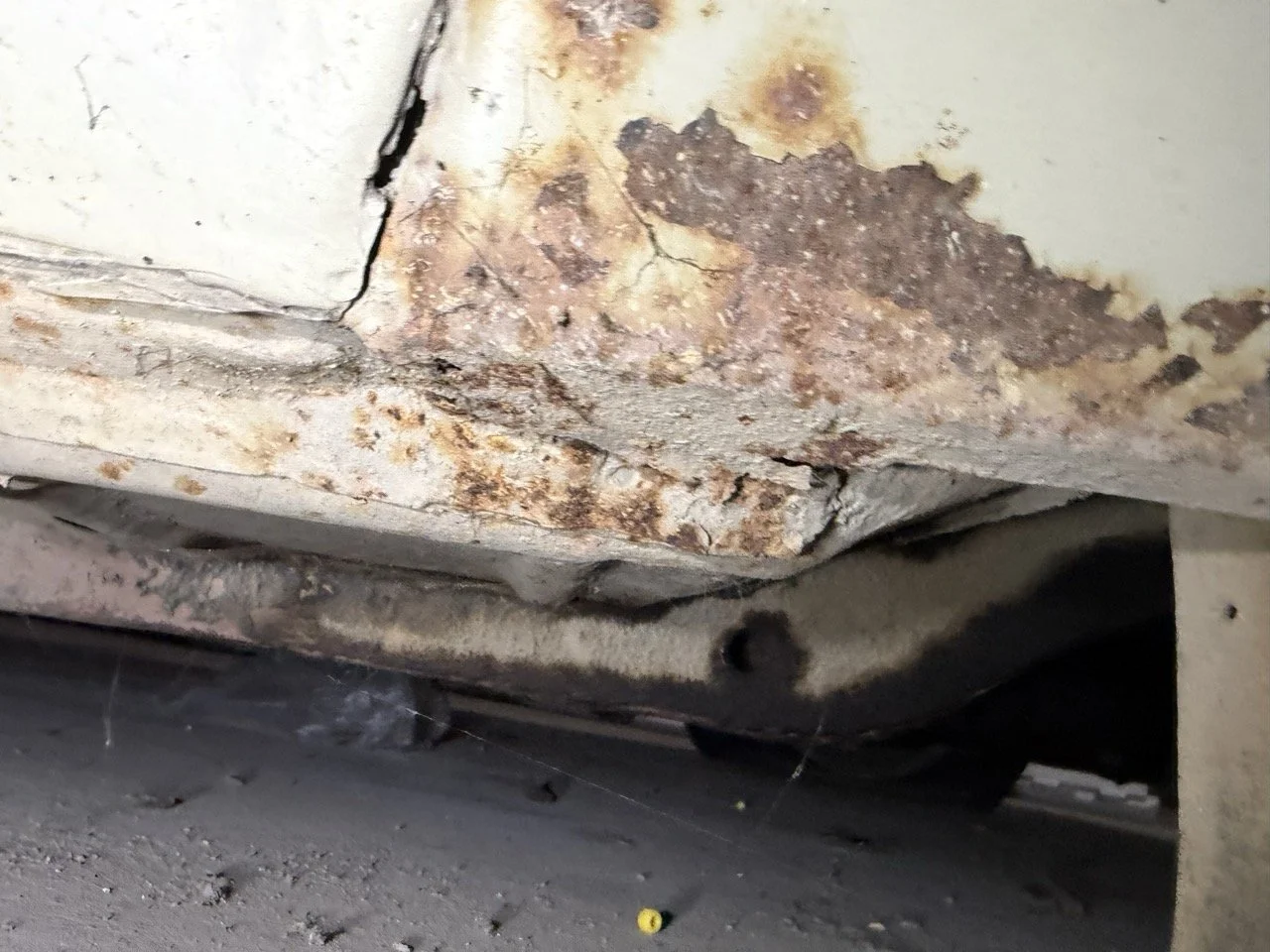 IMG_7116 – grande.jpeg