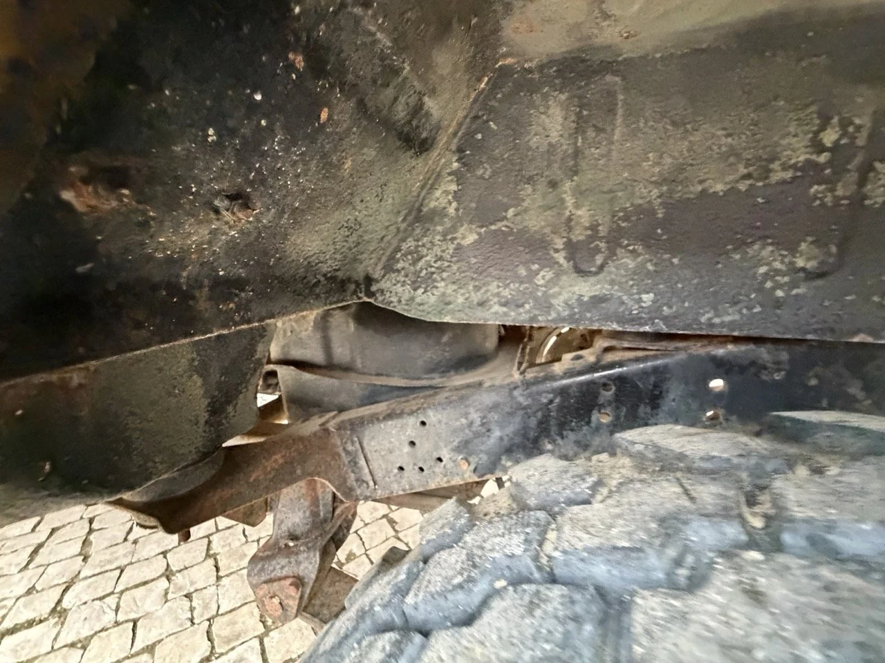 IMG_6533 – grande.jpeg