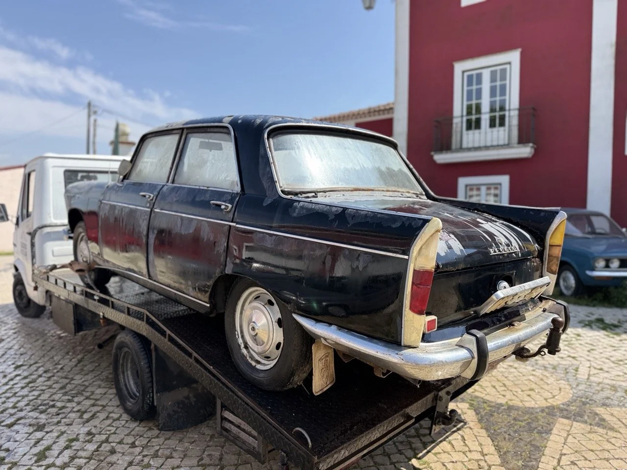 IMG_3456 – grande.jpeg