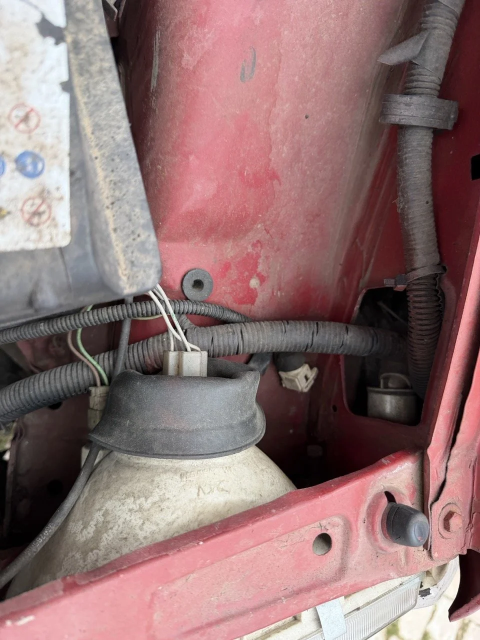 IMG_3608 – grande.jpeg